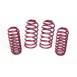 Sprężyny sportowe Vogtland Audi A3, type GY, up to 1100 kg VA, only twist-beam rear axle
